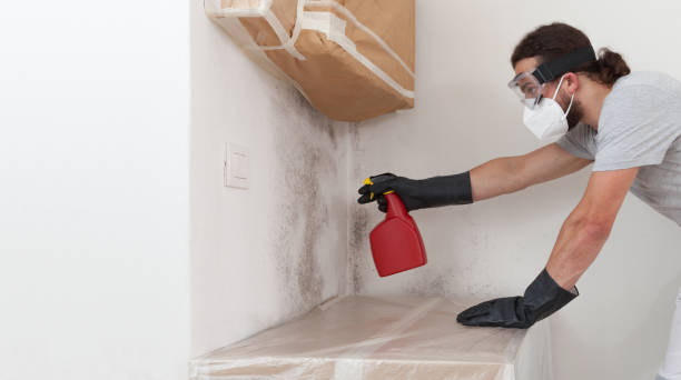 Professional Crawl Space Mold Removal technician working in Lakewood, IL